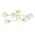 Chandelier on a pole 6xE27/35W/230V d. 80 cm gold