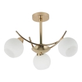 Chandelier on a pole AMOS 3xE27/40W/230V gold