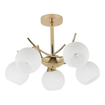 Chandelier on a pole AMOS 5xE27/40W/230V gold