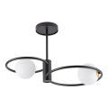 Chandelier on a pole AQUA 2xG9/12W/230V black
