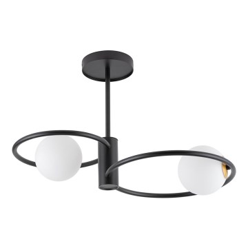 Chandelier on a pole AQUA 2xG9/12W/230V black