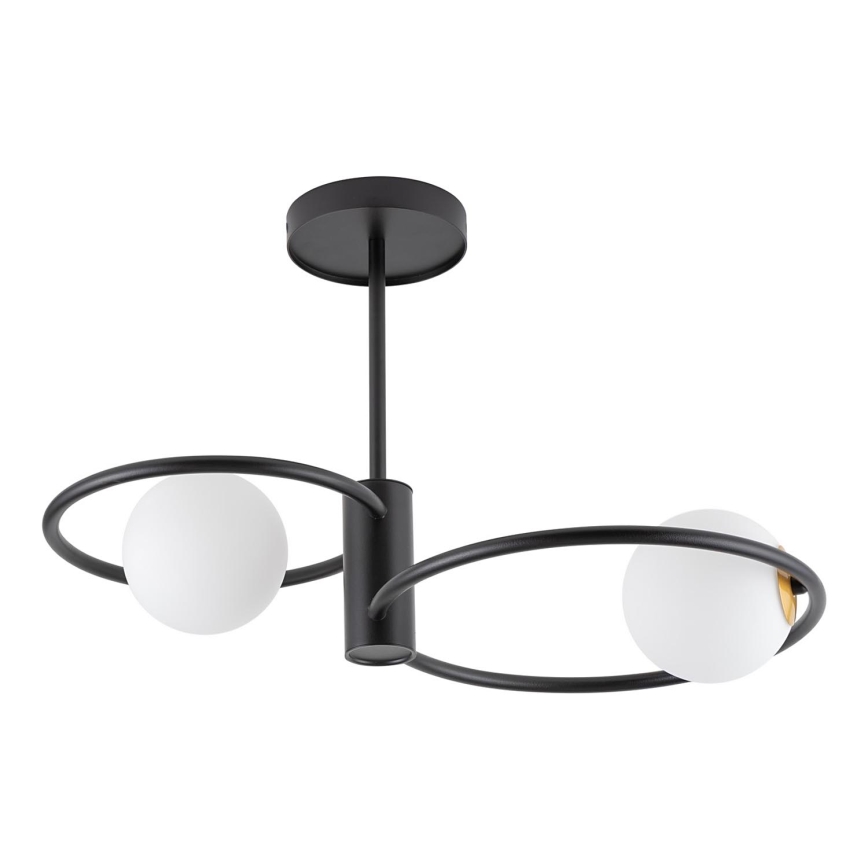 Chandelier on a pole AQUA 2xG9/12W/230V black