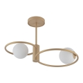 Chandelier on a pole AQUA 2xG9/12W/230V gold
