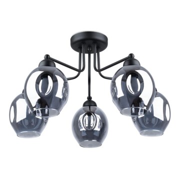 Chandelier on a pole FILLAN 5xE27/60W/230V black
