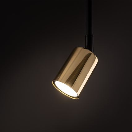 Chandelier on a pole for 1-phase rail system TOP 1xGU10/10W/230V gold/black