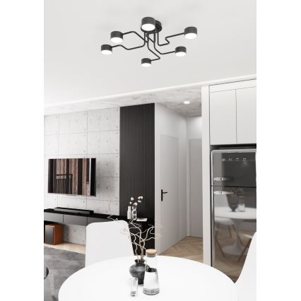 Chandelier on a pole KURAGE 6xGX53/12W/230V black