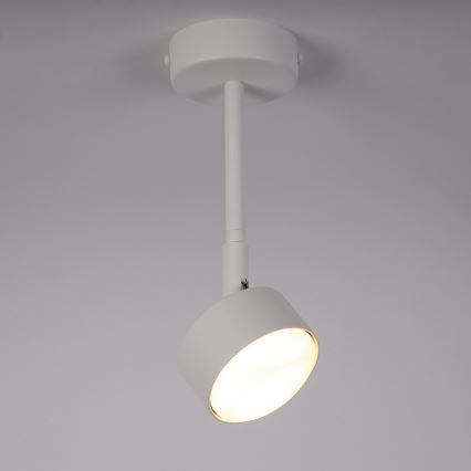 Chandelier on a pole NEMO 1xGX53/12W/230V 24 cm white