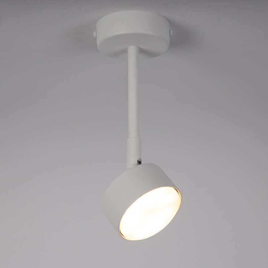 Chandelier on a pole NEMO 1xGX53/12W/230V 24 cm white
