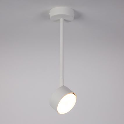 Chandelier on a pole NEMO 1xGX53/12W/230V 35 cm white