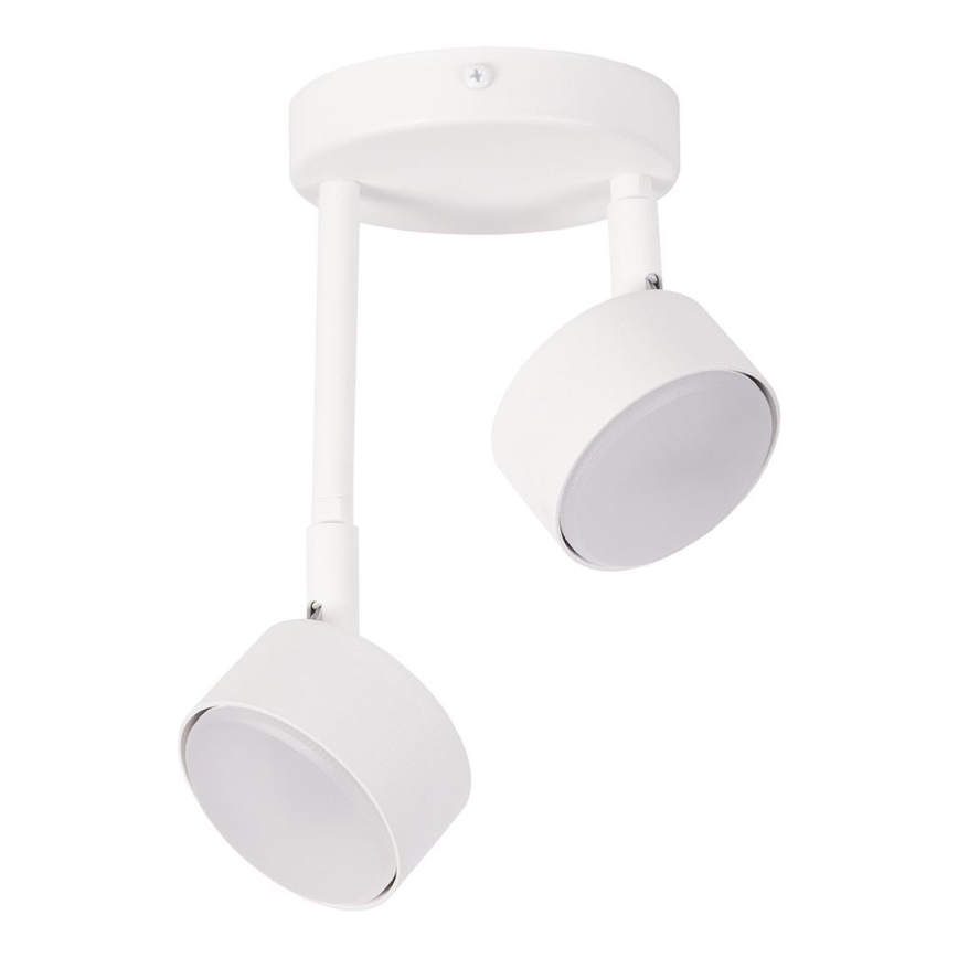 Chandelier on a pole NEMO 2xGX53/12W/230V white