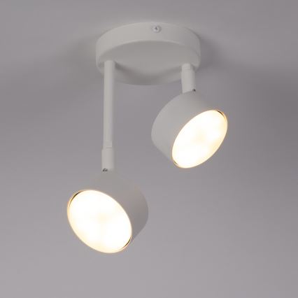 Chandelier on a pole NEMO 2xGX53/12W/230V white