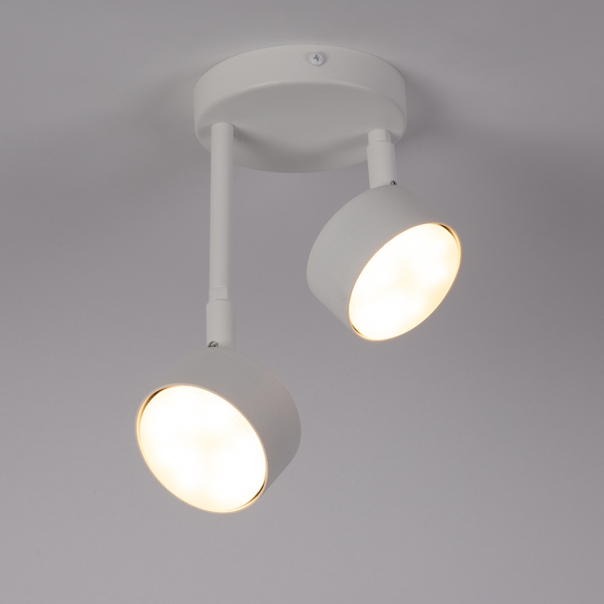 Chandelier on a pole NEMO 2xGX53/12W/230V white