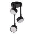 Chandelier on a pole NEMO 3xGX53/12W/230V black