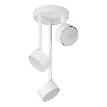 Chandelier on a pole NEMO 3xGX53/12W/230V white