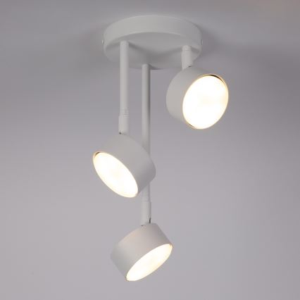 Chandelier on a pole NEMO 3xGX53/12W/230V white