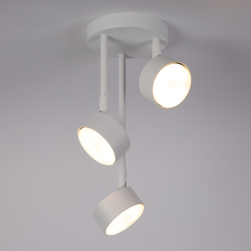 Chandelier on a pole NEMO 3xGX53/12W/230V white