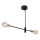 Chandelier on a pole ONYX 2xE27/60W/230V black/gold