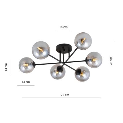 Chandelier on a pole ROMA 6xE14/10W/230V black/smoky