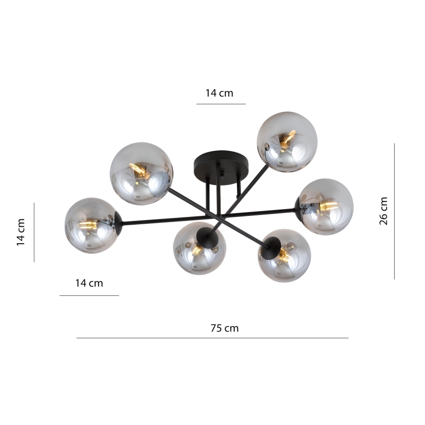 Chandelier on a pole ROMA 6xE14/10W/230V black/smoky