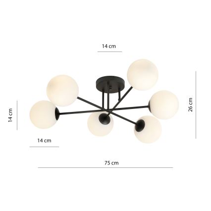 Chandelier on a pole ROMA 6xE14/10W/230V black/white