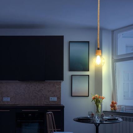 Chandelier on a string 1xE27/60W/230V d. 15 cm