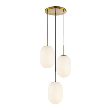 Chandelier on a string ALIAS 3xE14/40W/230V gold