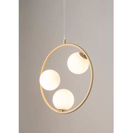 Chandelier on a string AQUA 3xG9/12W/230V gold
