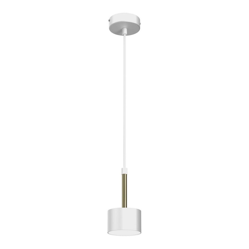 Chandelier on a string ARENA 1xGX53/11W/230V white/golden