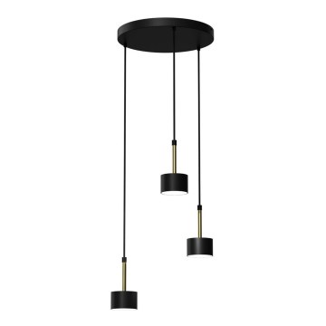 Chandelier on a string ARENA 3xGX53/11W/230V black/gold