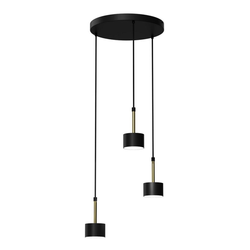 Chandelier on a string ARENA 3xGX53/11W/230V black/gold