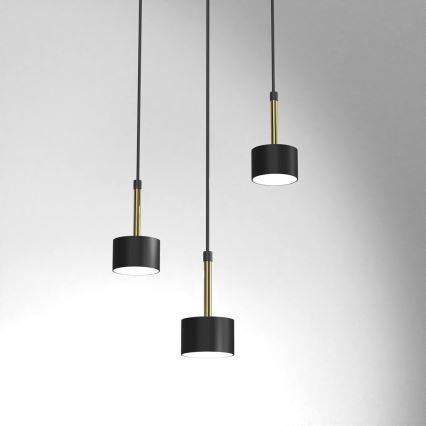 Chandelier on a string ARENA 3xGX53/11W/230V black/gold