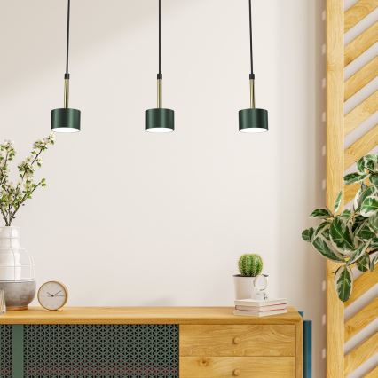 Chandelier on a string ARENA 3xGX53/11W/230V green/gold
