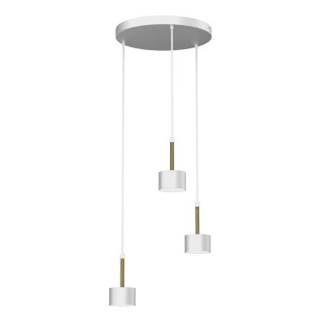 Chandelier on a string ARENA 3xGX53/11W/230V white/gold