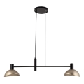 Chandelier on a string ARTIS 2xE14/40W/230V black/gold