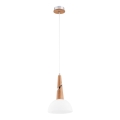 Chandelier on a string ATOL 1xE27/60W/230V