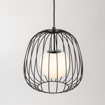 Chandelier on a string BELL 1xG9/12W/230V d. 24 cm black/shiny chrome