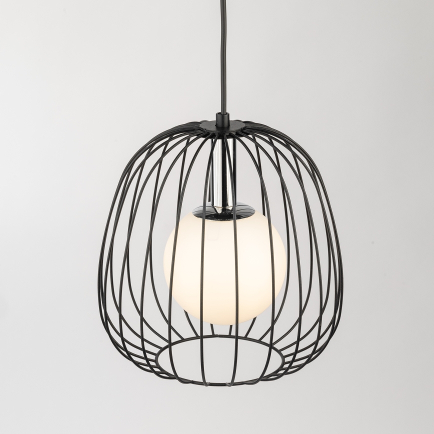 Chandelier on a string BELL 1xG9/12W/230V d. 24 cm black/shiny chrome