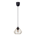 Chandelier on a string CEED GOLD 1xE27/60W/230V d. 17,5 cm black/gold