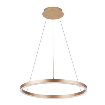 Chandelier on a string DONA LED/32W/230V d. 40 cm
