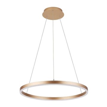 Chandelier on a string DONA LED/62W/230V d. 80 cm