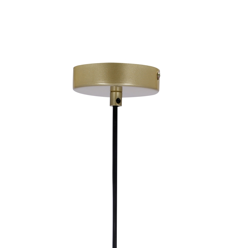 Chandelier on a string DUO 2xE14/40W/230V golden/black