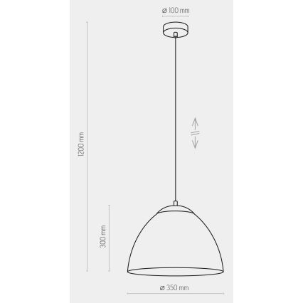 Chandelier on a string FARO 1xE27/60W/230V black