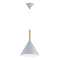 Chandelier on a string FUKS 1xE27/15W/230V grey/beige