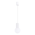 Chandelier on a string HALO 1xG9/8W/230V d. 12 cm white