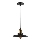 Chandelier on a string LOFT 1xE27/60W/230V d. 22 cm black