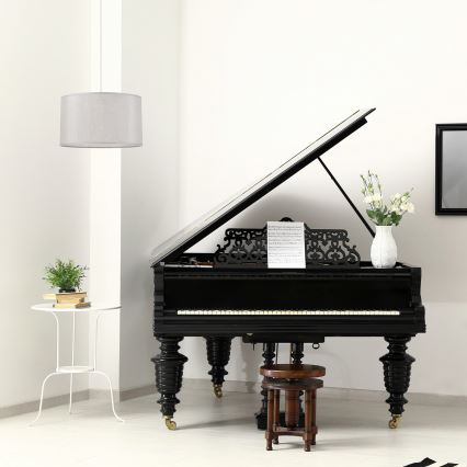 Chandelier on a string MONTE 1xE27/60W/230V silver