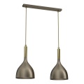 Chandelier on a string NOAK 2xE27/15W/230V brass/gold