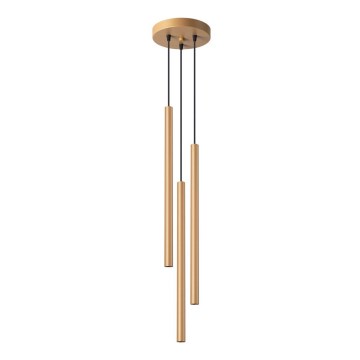 Chandelier on a string PASTELO 3xG9/8W/230V gold