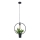 Chandelier on a string SOREN 1xE27/10W/230V