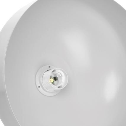 Chandelier on a string TAYLOR 1xE27/60W/230V